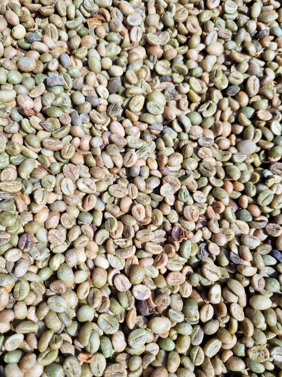 coirung.com
