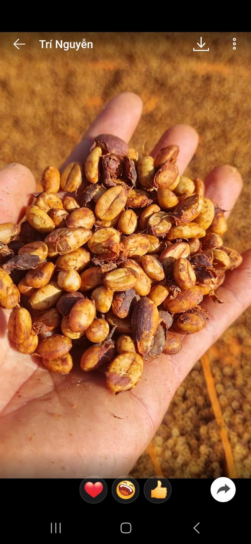 coirung.com