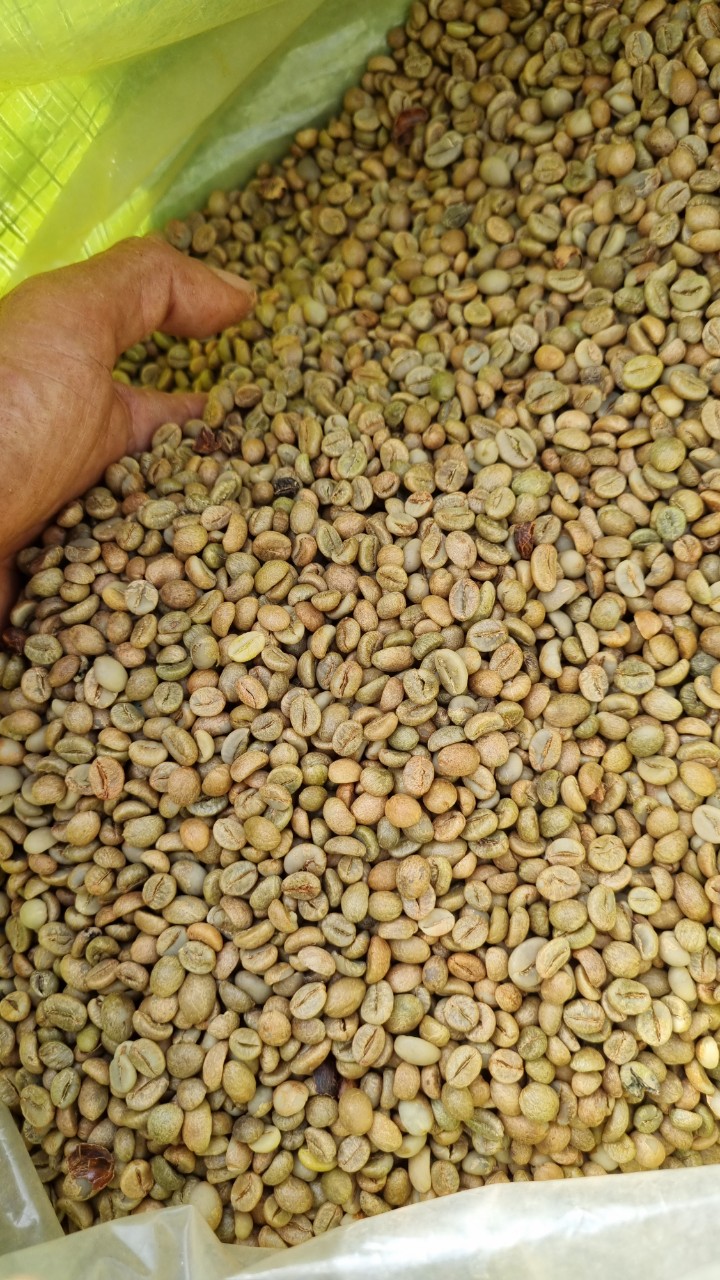 coirung.com