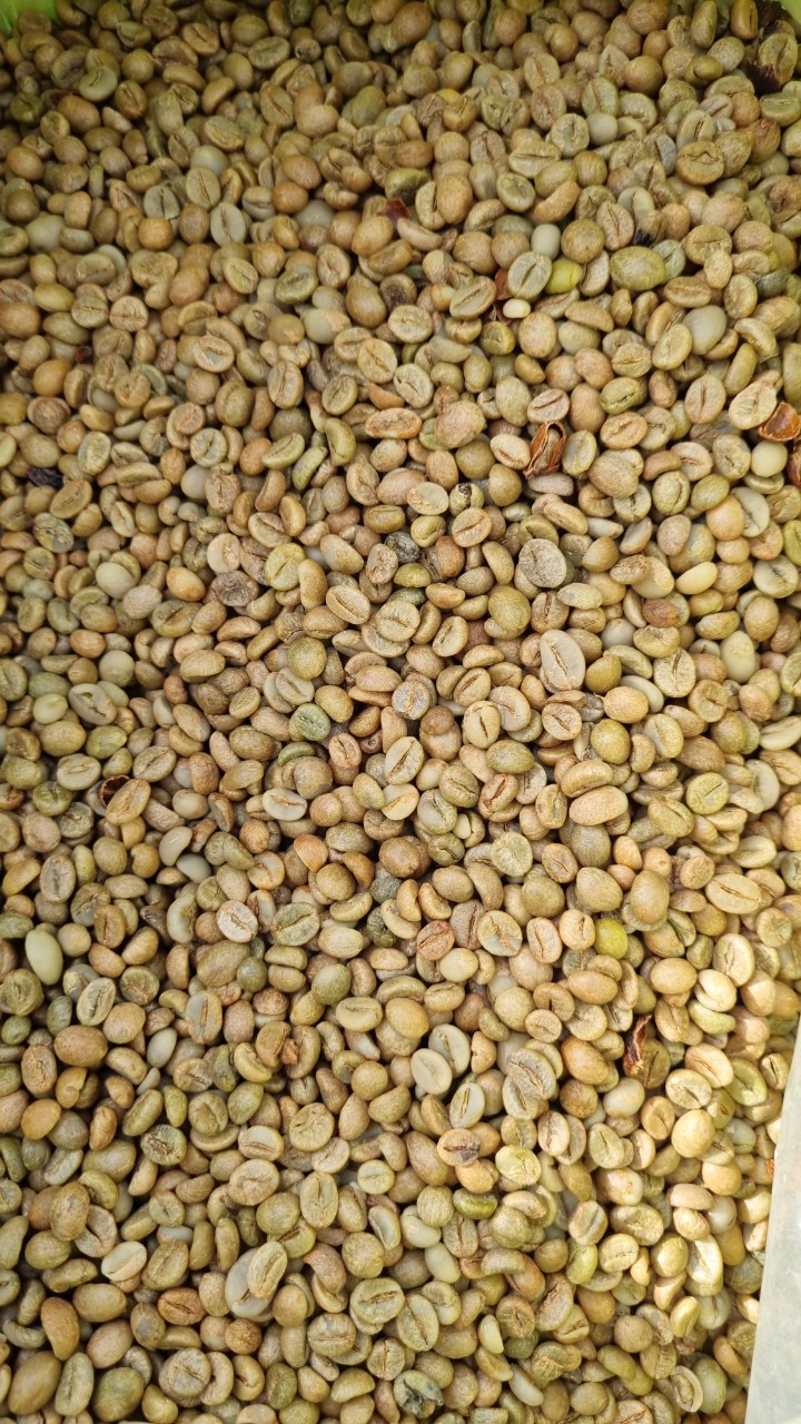 coirung.com