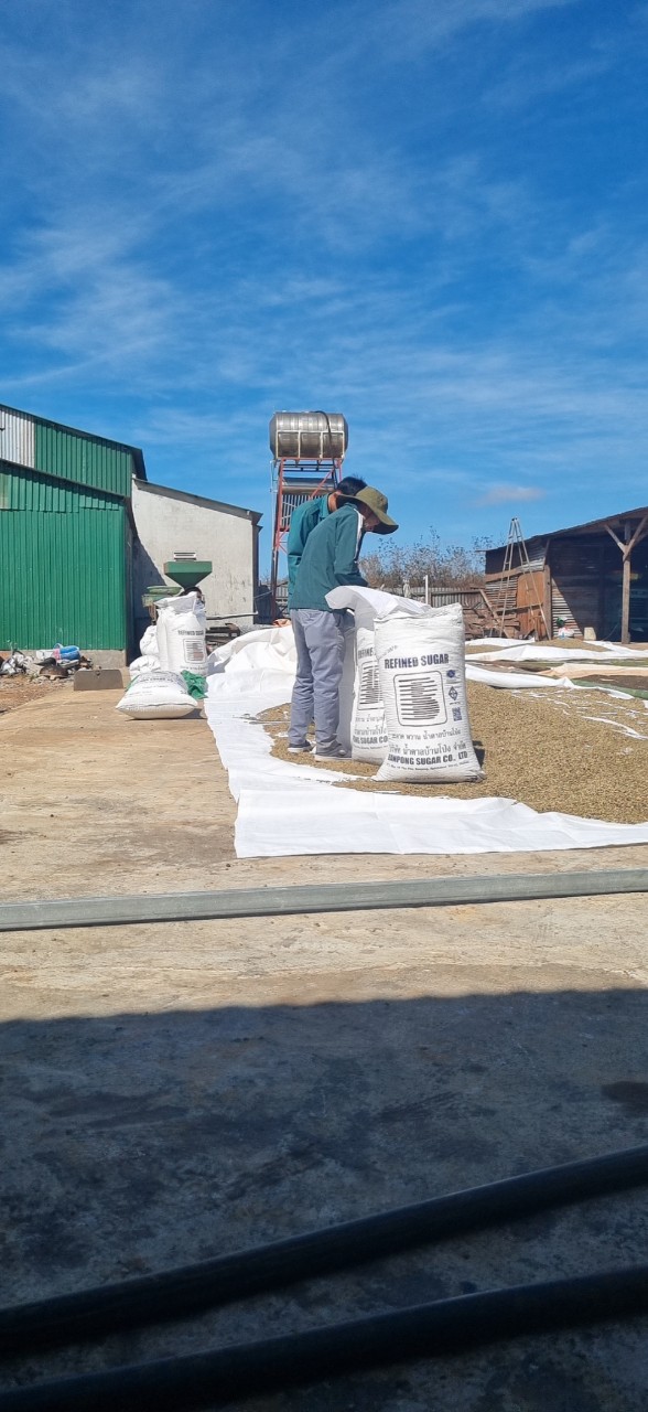 coirung.com
