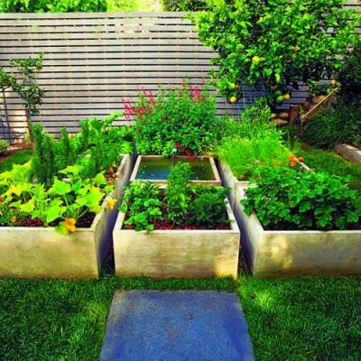 Lao động nông nghiệp: Số lượng lớn, chất lượng thấp