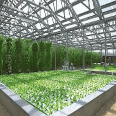 Phát triển dịch vụ nông nghiệp: Niềm vui cho nhà nông