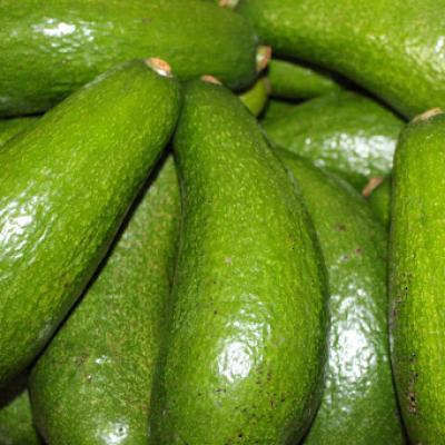 Trái cây miền Trung 1